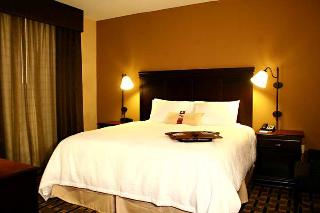 Hotel Hampton Inn & Suites Palestine