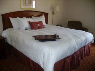 Hotel Hampton Inn & Suites Park City