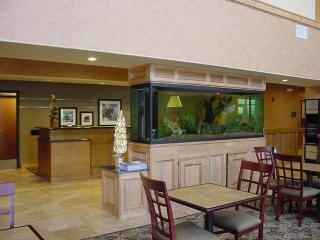 Hotel Hampton Inn & Suites Pharr