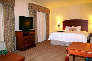 Hotel Hampton Inn & Suites Pharr