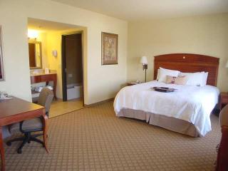 Hotel Hampton Inn & Suites Pharr