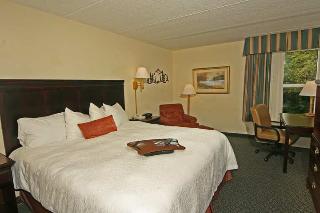 Hotel Hampton Inn & Suites Pigeon Forge On The Pkwy
