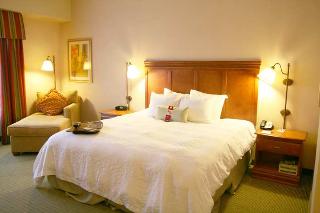 Hotel Hampton Inn & Suites Pittsburgh-downtown