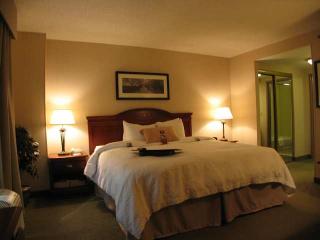 Hotel Hampton Inn & Suites Reagan National Airport