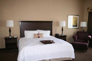 Hotel Hampton Inn & Suites Sacramento-airport-natomas