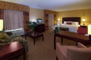 Hotel Hampton Inn & Suites San Antonio Airport