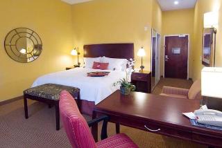 Hotel Hampton Inn & Suites San Antonio Airport