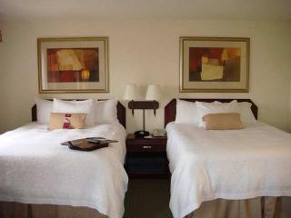 Hotel Hampton Inn & Suites San Marcos