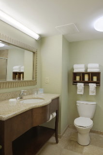 Hotel Hampton Inn & Suites Savannah Midtown