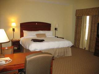 Hotel Hampton Inn & Suites Schertz