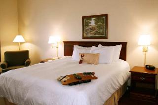 Hotel Hampton Inn & Suites Springfield