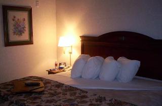 Hotel Hampton Inn & Suites Springfield