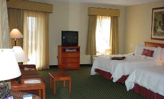 Hotel Hampton Inn & Suites St. Petersburg-downtown