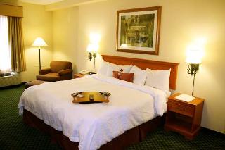 Hotel Hampton Inn & Suites St. Petersburg-downtown