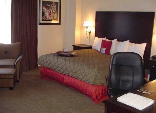 Hotel Hampton Inn Suites Stamford Connecticut