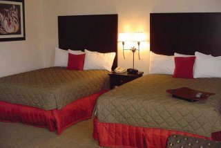 Hotel Hampton Inn Suites Stamford Connecticut