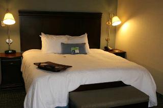 Hotel Hampton Inn & Suites Syracuse Erie Blvd-i-690