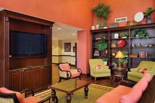 Hotel Hampton Inn & Suites Tampa-wesley Chapel