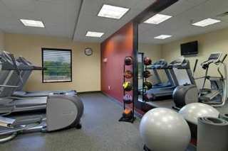 Hotel Hampton Inn & Suites Tampa-wesley Chapel