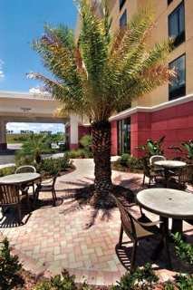 Hotel Hampton Inn & Suites Tampa-wesley Chapel