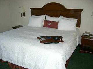 Hotel Hampton Inn & Suites Toledo-north