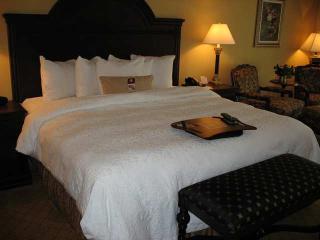 Hotel Hampton Inn & Suites Wellington