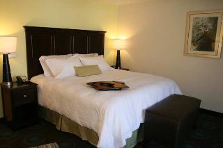 Hotel Hampton Inn & Suites Wilder