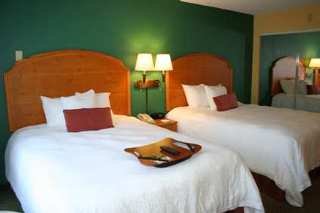 Hotel Hampton Inn & Suites Williamsburg-richmond Rd.