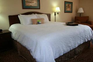 Hotel Hampton Inn Syracuse-carrier Circle I-90