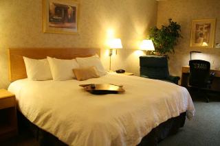 Hotel Hampton Inn Syracuse-north-airport Area