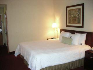 Hotel Hampton Inn Tallahassee-central