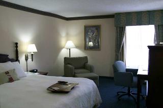 Hotel Hampton Inn Tampa-rocky Point-airport