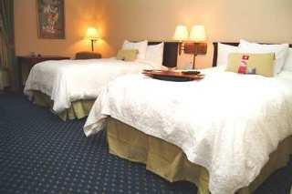 Hotel Hampton Inn Tampa-rocky Point-airport