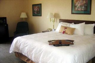 Hotel Hampton Inn Troy