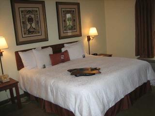 Hotel Hampton Inn Tuscaloosa-east