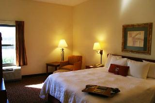 Hotel Hampton Inn Tuscaloosa-university