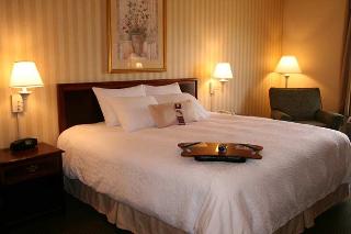 Hotel Hampton Inn Waynesboro-stuarts Draft