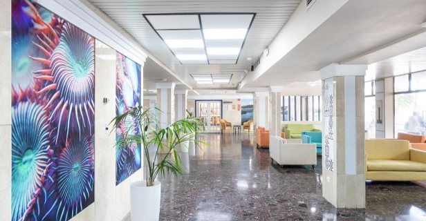 Hotel Hc Magec