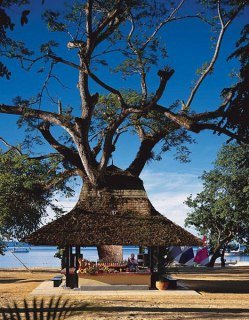 Hotel Hedonism II Negril All Inclusive