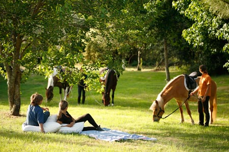 Hotel Herdade Da Matinha Country House & Restaurant
