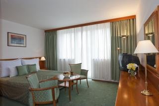 Hotel Heviz Palace