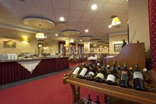Hotel Heviz Palace
