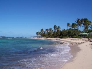 Hotel Hibiscus Beach Resort