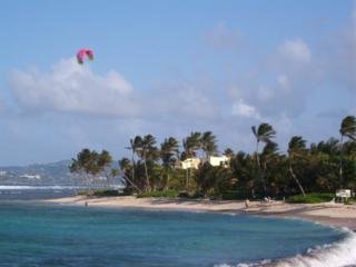 Hotel Hibiscus Beach Resort