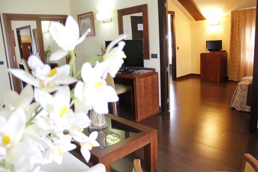Hotel Hidalgo