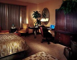 Hotel Hilton Americas-houston