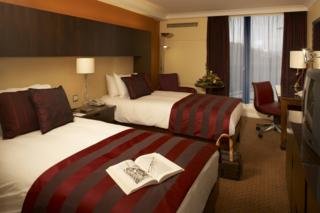 Hotel Hilton Birmingham Metropole