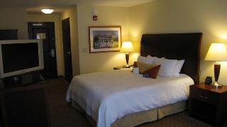Hotel Hilton Garden Inn Albany Medical Center