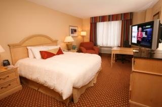Hotel Hilton Garden Inn At Seaworld
