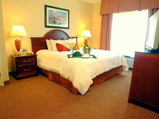 Hotel Hilton Garden Inn Birmingham-lakeshore Drive